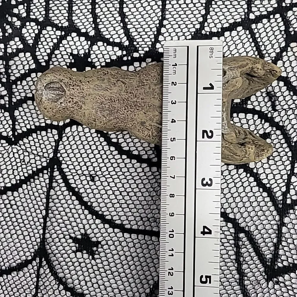 Crocodile Skull Fish Tank Aquarium Decoration